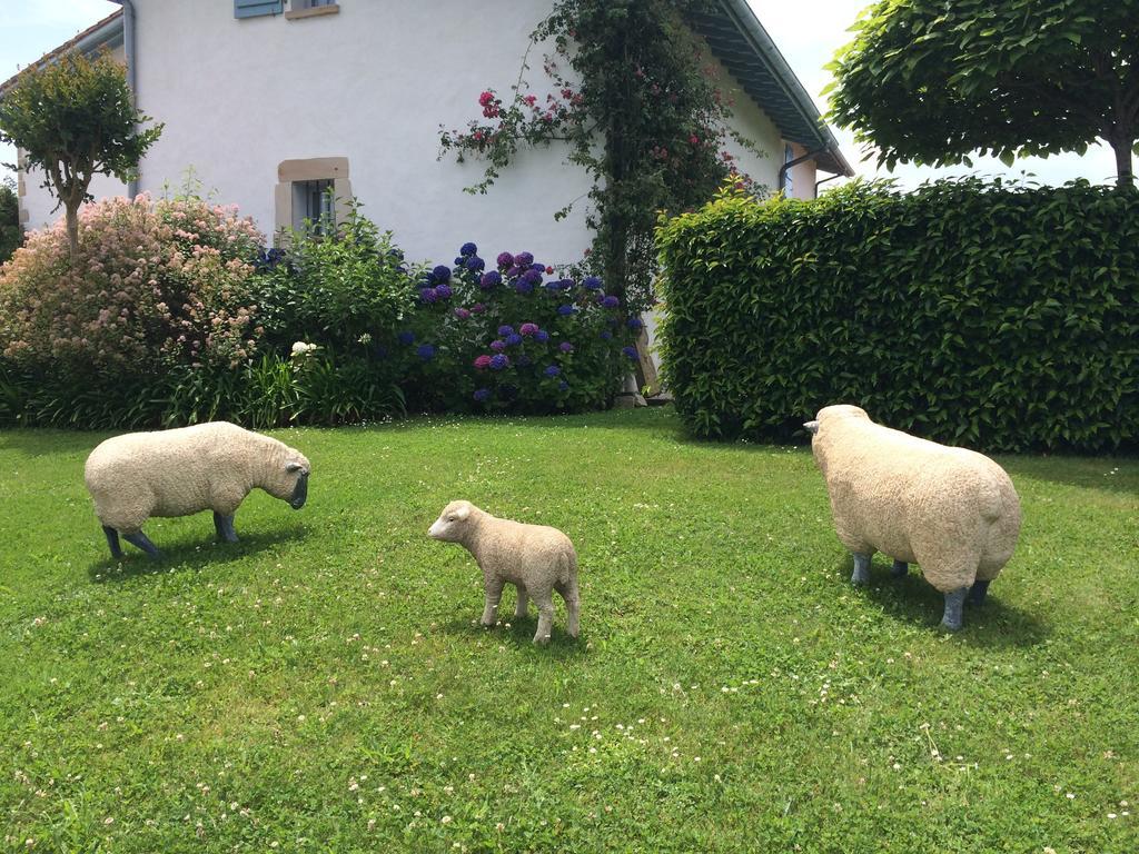 Bed and Breakfast Les Volets Bleus Arcangues Exterior foto